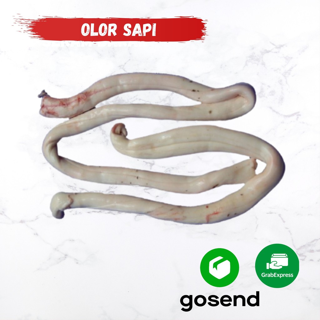 

Sumsum tulang belakang Sapi/Olor Sapi Bergizi 1Kg