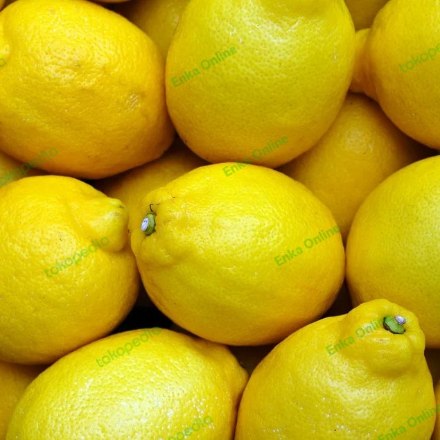 

lemon import pasar online makassar