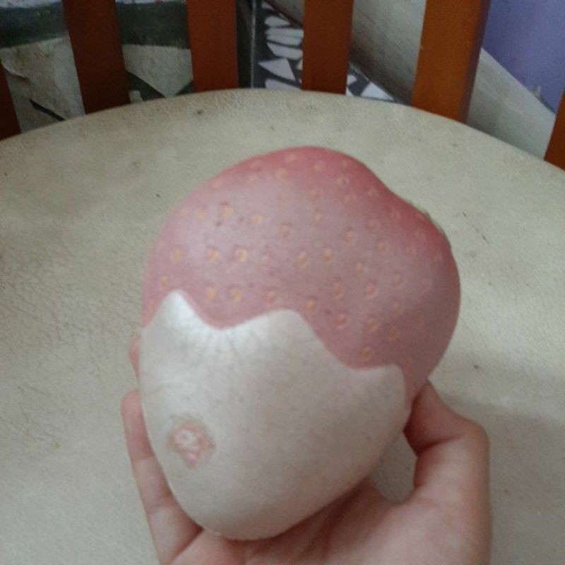 

puni maru strawberry