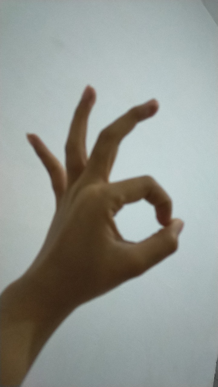 Bolde Super Mop Oregon + Plus Stainless / Alat Pel Beroda