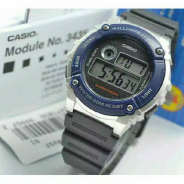 

Casio W 216H