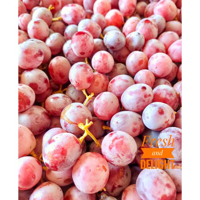 

Anggur Merah Red Globe Premium Import