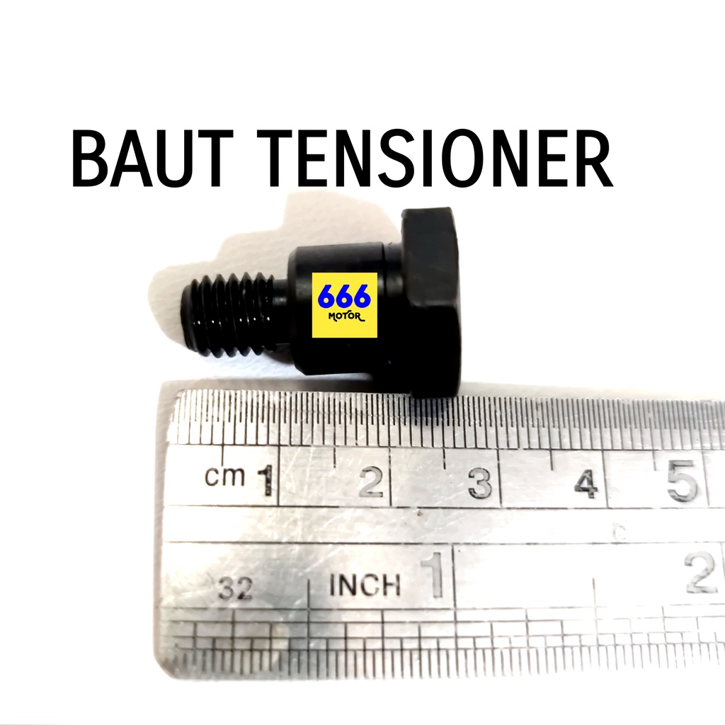 BAUT TENSIONER