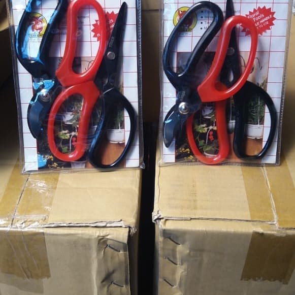 

Jual gunting double/gunting untuk pohon bonsai terbaik