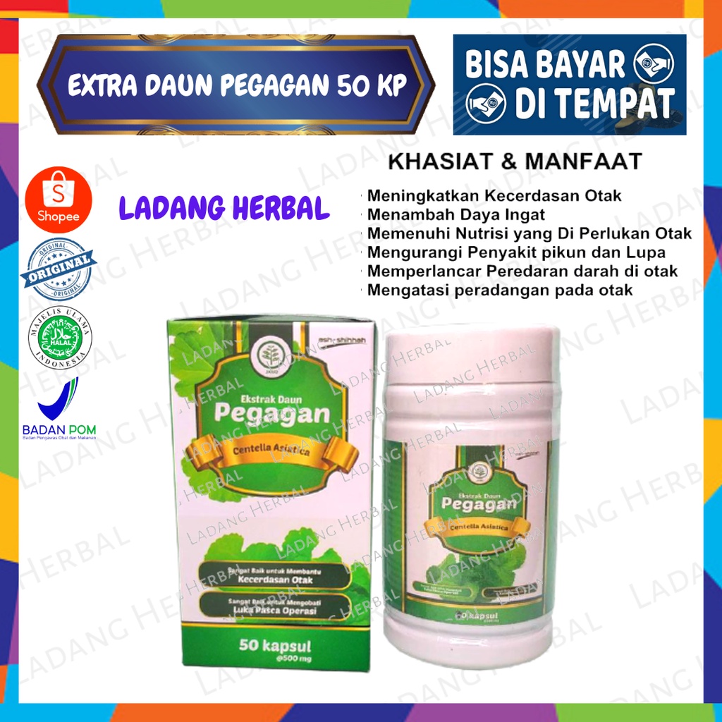 Jual Kapsul Ekstrak Daun Pegagan Antanan Ash Shihhah Original