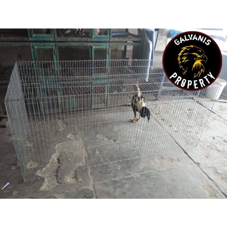kurungan ayam bangkok / kandang kurungan besi tenggaran umbaran ayam jago / bangkok bahan besi galva