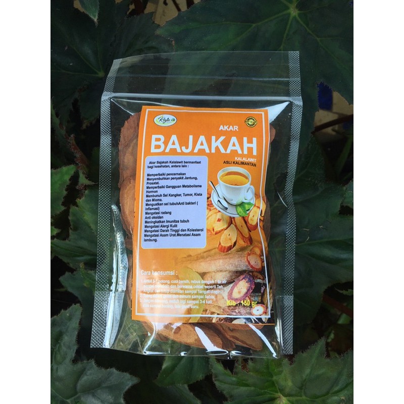 

AKAR BAJAKAH KALALAWIT