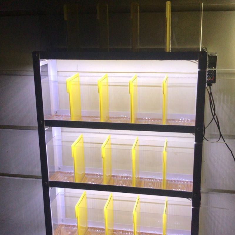 Rak besi cupang toples dan soliter set dengan LED