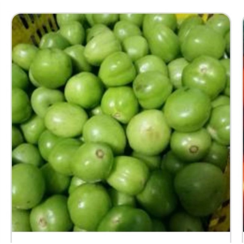 

Tomat hijau 250 gram