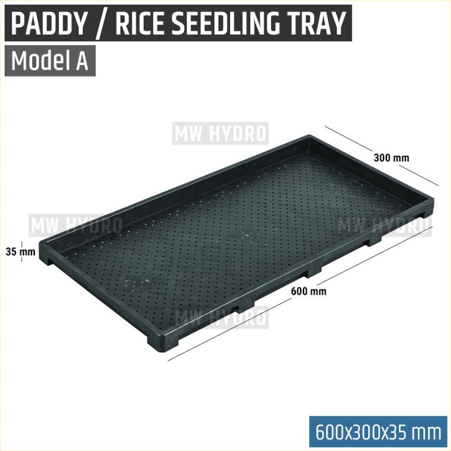 Paddy / Rice Seedling Tray, Tray Semai Bibit Padi / Microgreen - A