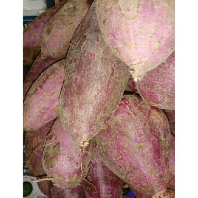 Ubi ungu/purple sweet potato /500gram