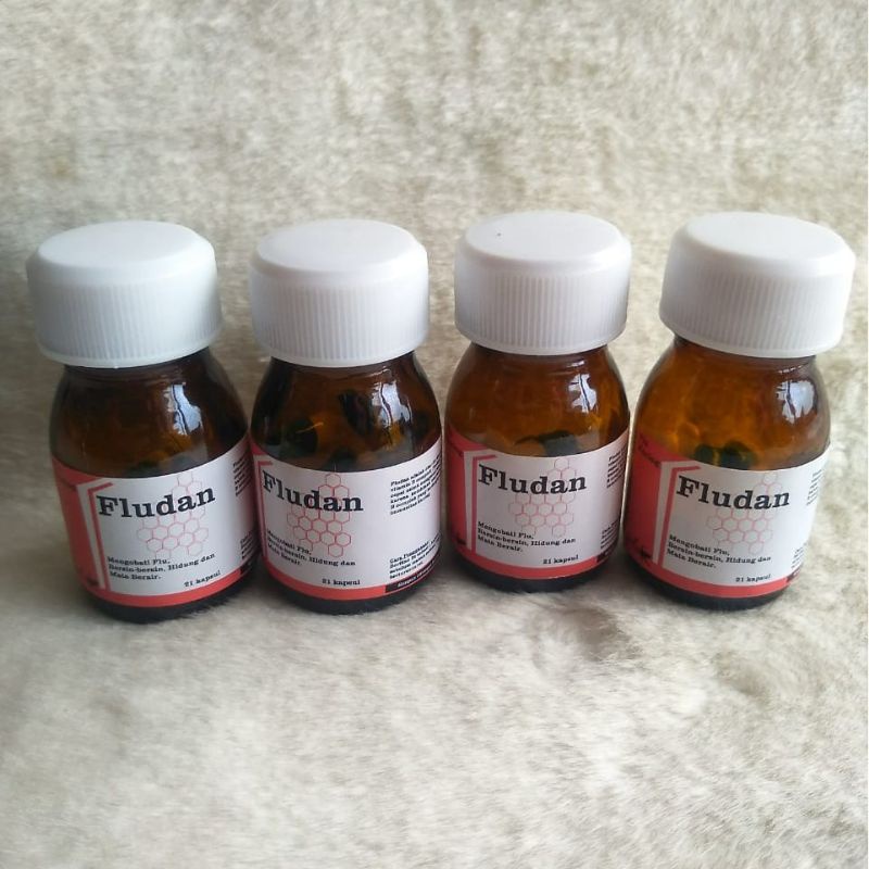 FLUDAN OBAT FLU BATUK KUCING CAPSUL