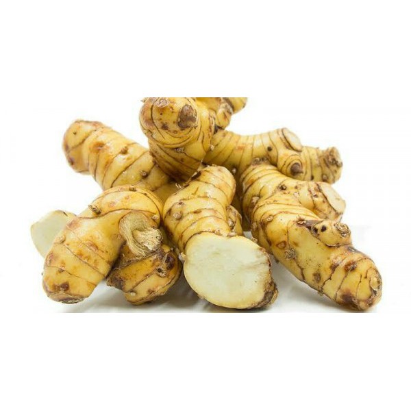 

Kencur cikur 500 gram murni segar super bibit Sand ginger Cutcherry weight 500 gram