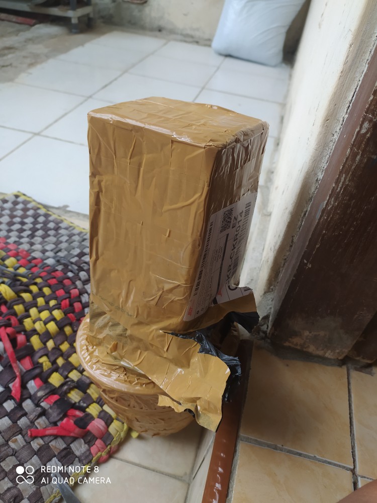 Tanaman Hias Aglonema Lipstick + Pot Tawon Uk18 - Pot Dan Tanaman