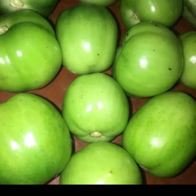

tomat sayur ijo per kg 15000