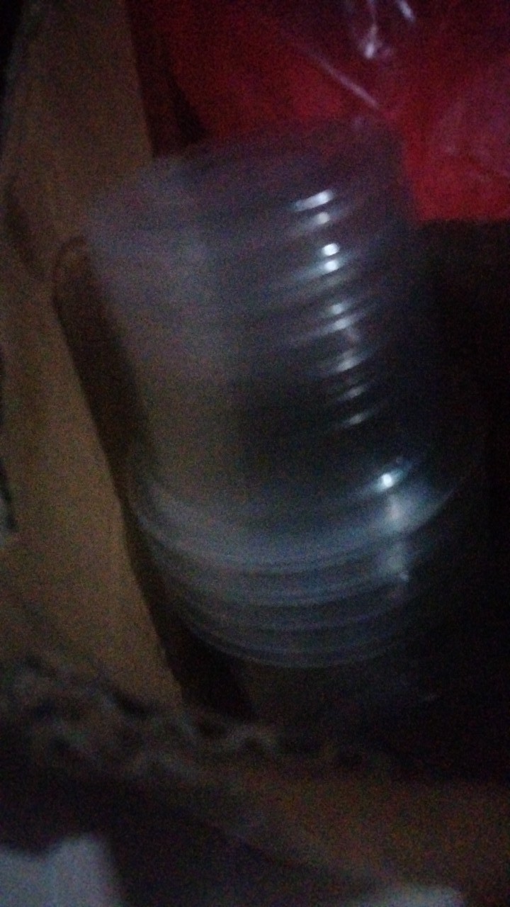 Dapurmami Cup Gelas Tempat Pudding Agar Puding Jelly + Tutup 120 Ml 100 Ml 65 Ml