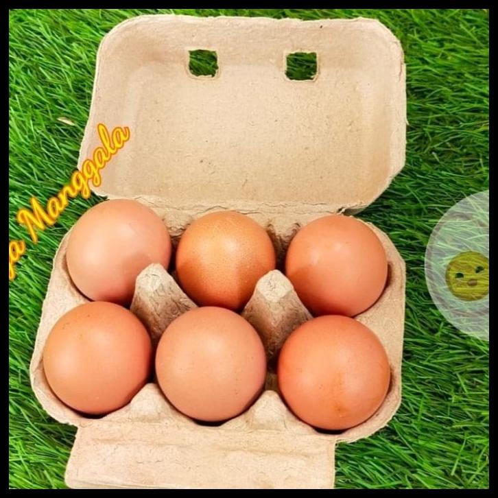 Paper Egg 6 Lubang / Box Telur Karton 50 Pcs
