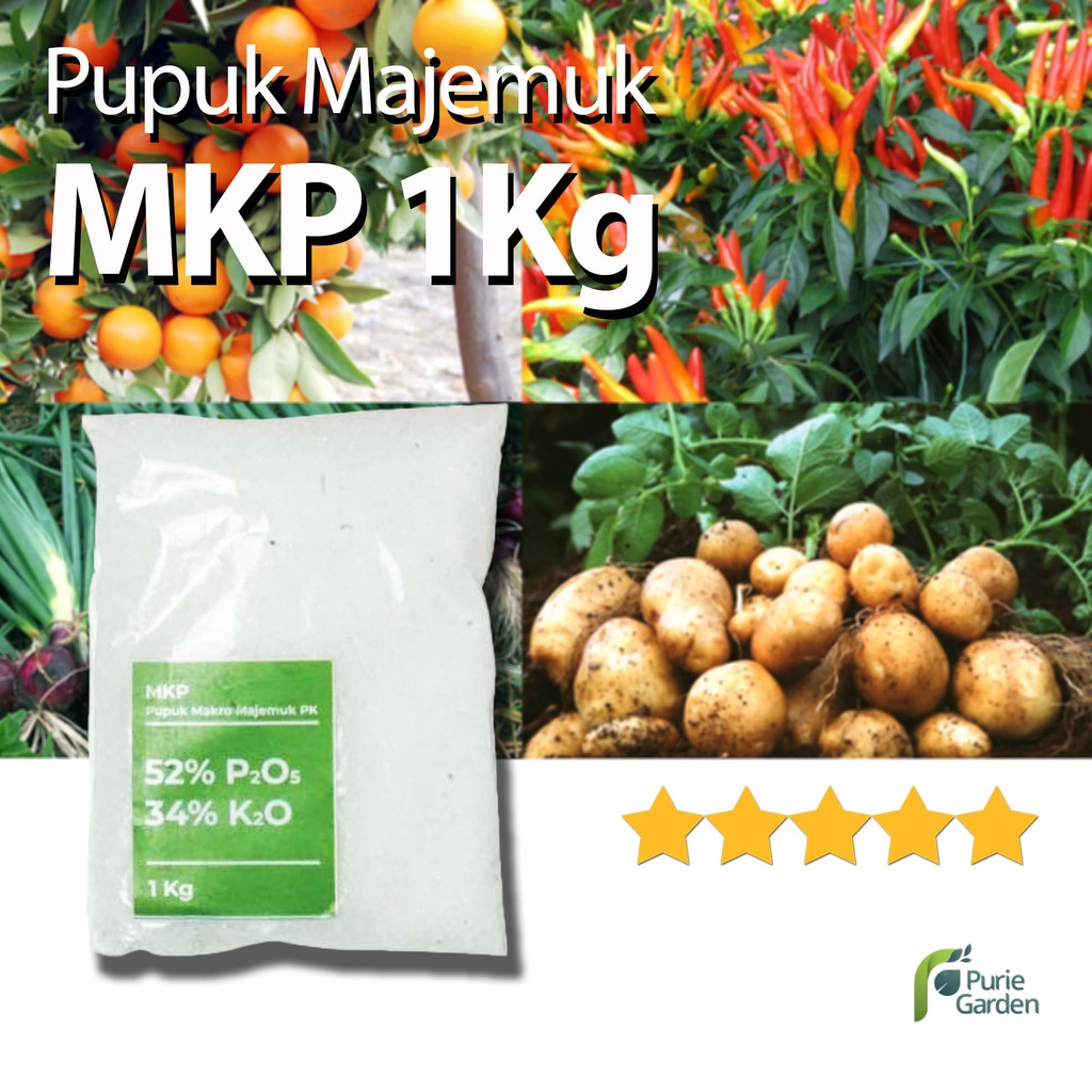 Pupuk Perangsang Budah Dan Bunga Pupuk Majemuk KP MKP 1Kg PG KDR