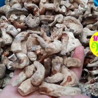  Kaki  Jamur  Shitake Hioko 500 Gram Ukuran Jumbo Campuran 