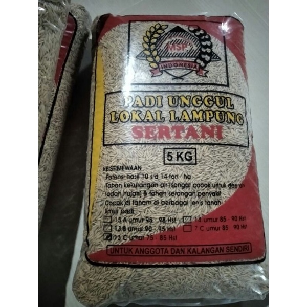 5 kg Benih Padi Sertani 13 C cepat panen genjah