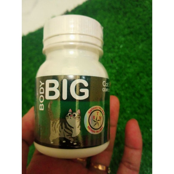 Body BIG cat - vitamin penggemuk kucing