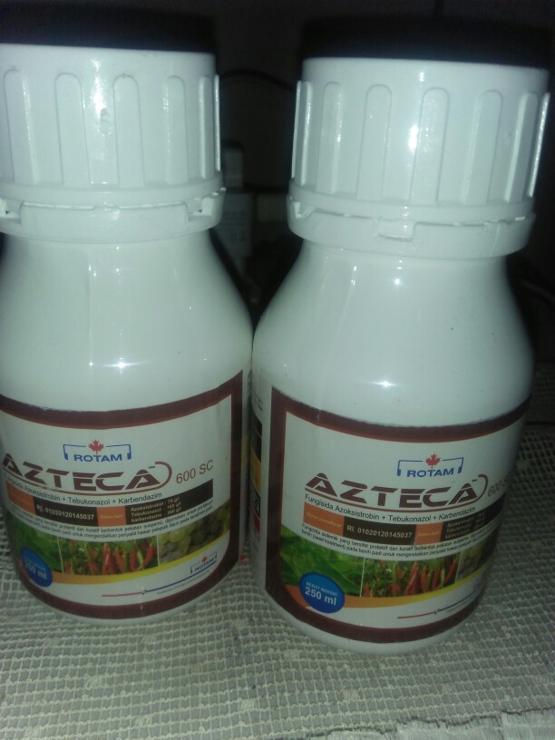 Azteca 600sc Kemasan 250ml Fungisida Anti Bun Upas