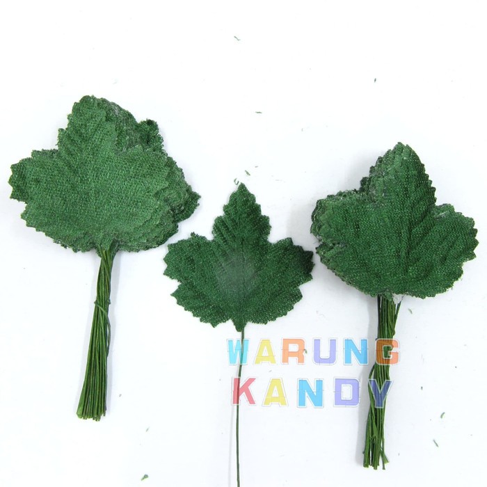 Daun Bludru H96