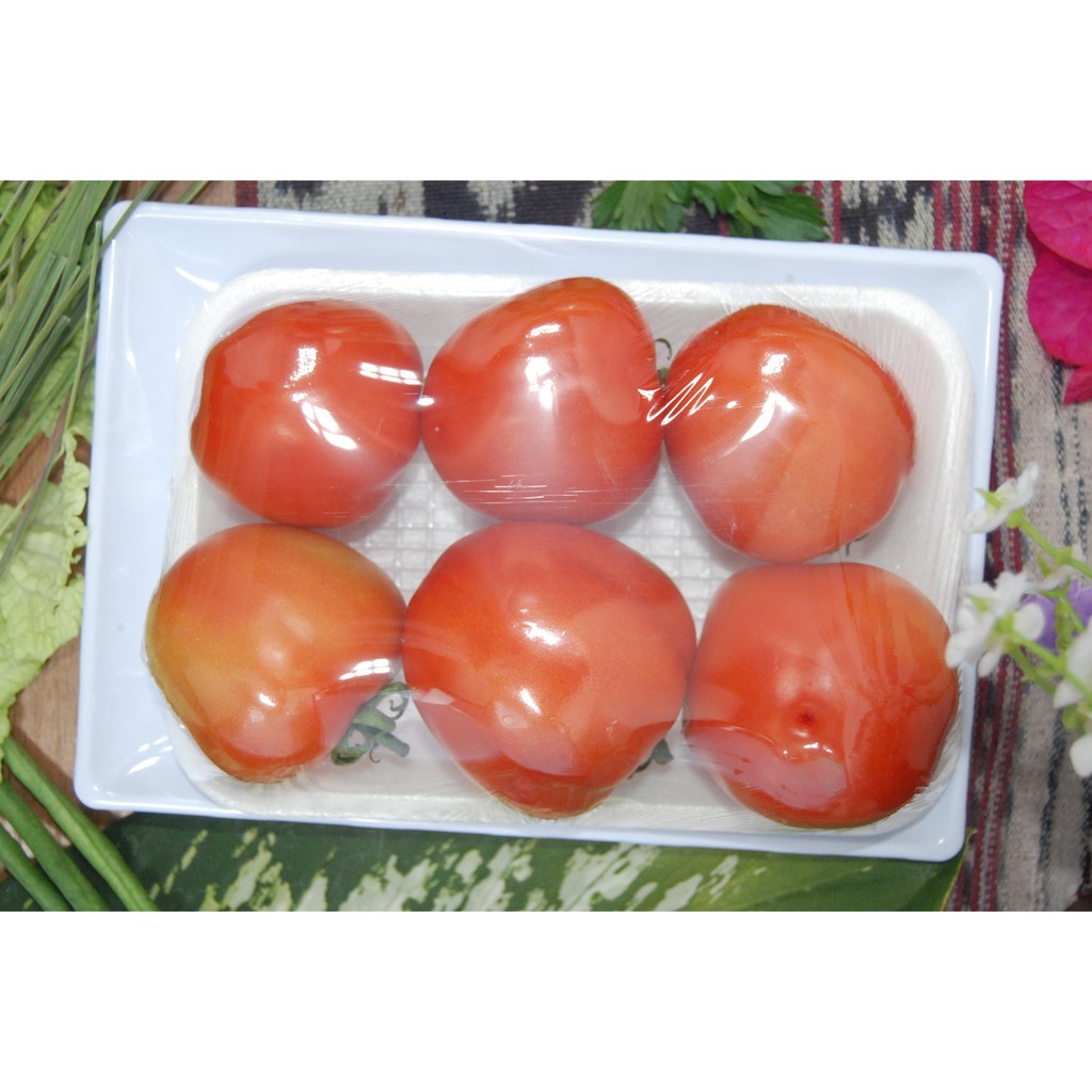 

tomat segar