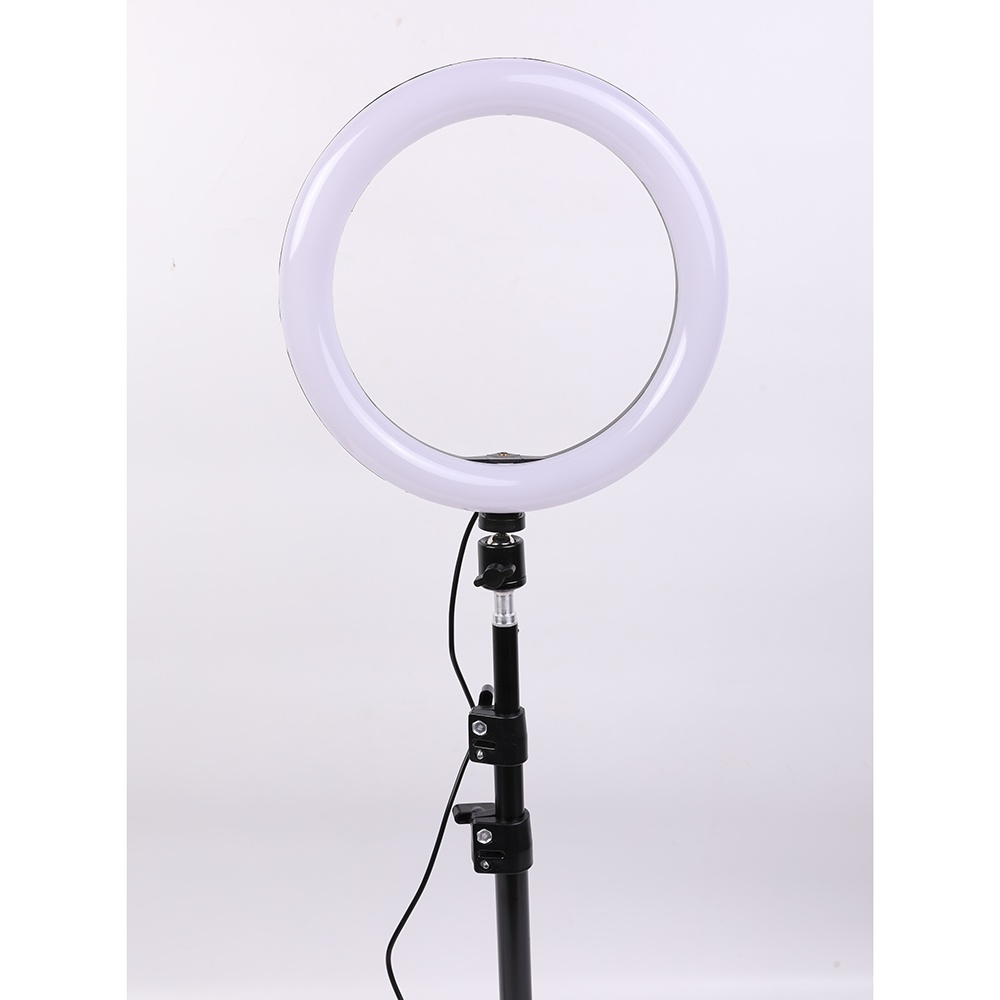 TaffSTUDIO Lampu Halo RGB Ring Light LED Kamera 10 Inch with Smartphone Holder - JY-RGB260 - White