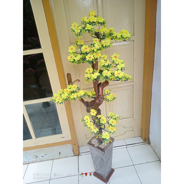 Bunga sudut , bunga pojok  , bunga Semanggi jumbo