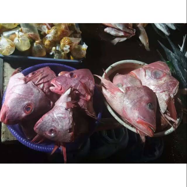 KEPALA KAKAP BESAR MERAH FRESH