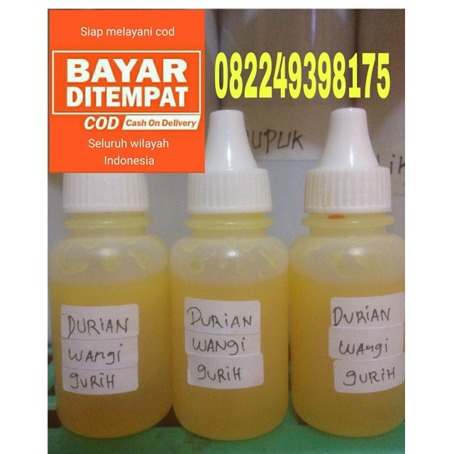 Essen oplosan ikan mas Dominan durian