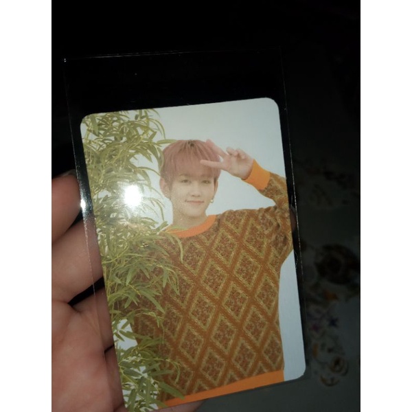 Photocard Treasure Mashiho Official - PC AR Full Album