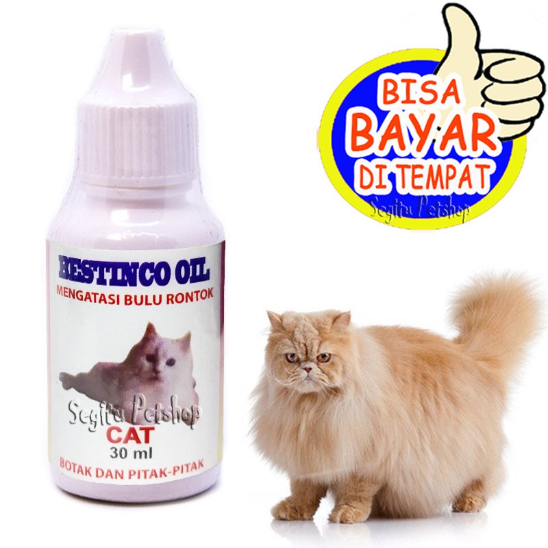 Vitamin Bulu Kucing Rontok Botak Penumbuh Pelebat Bestinco Oil