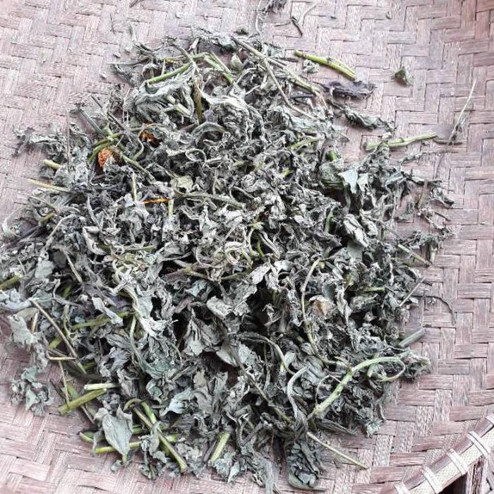 

Daun Insulin Kering Asli 500gr | Mengatasi Diabetes