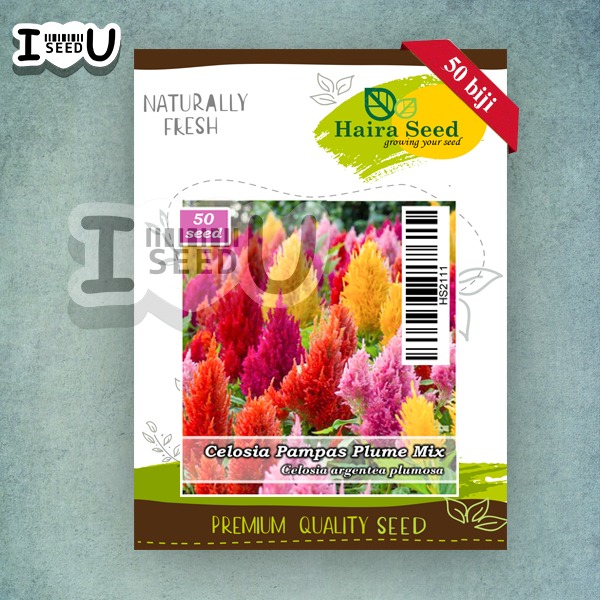 Haira Seed Bibit-Biji Bunga Celosia Pampas Plume Mix