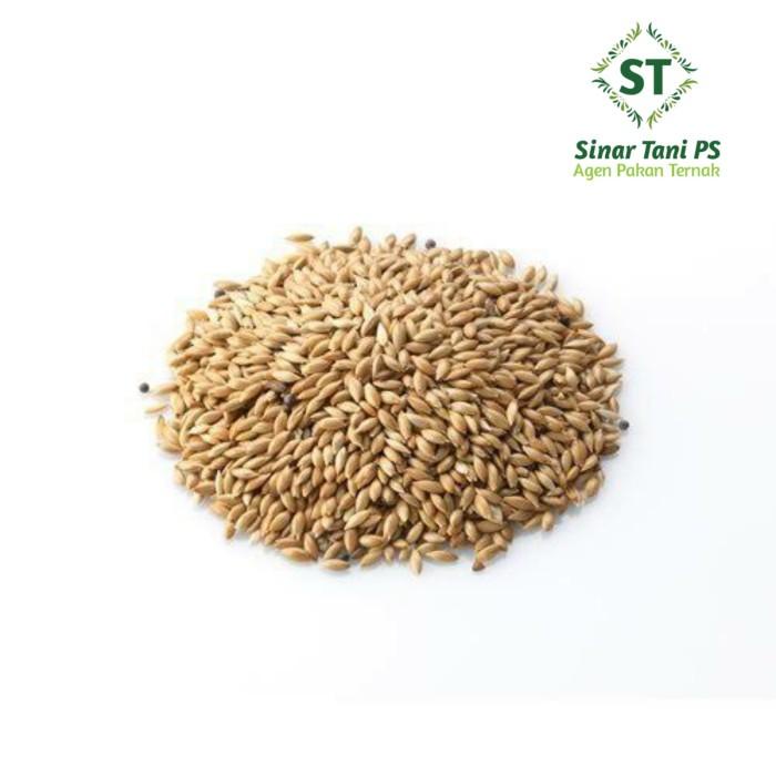 Akhdan Canary Seed 1 Sak Isi 25 Kg Pakan Burung