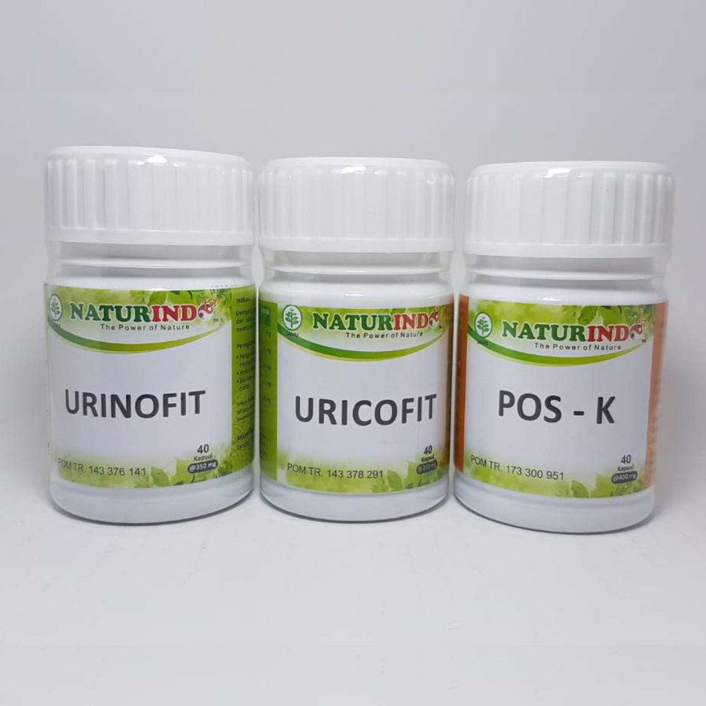 

Obat Herbal Asam Urat 100% Alami Naturindo Babakan Herbal