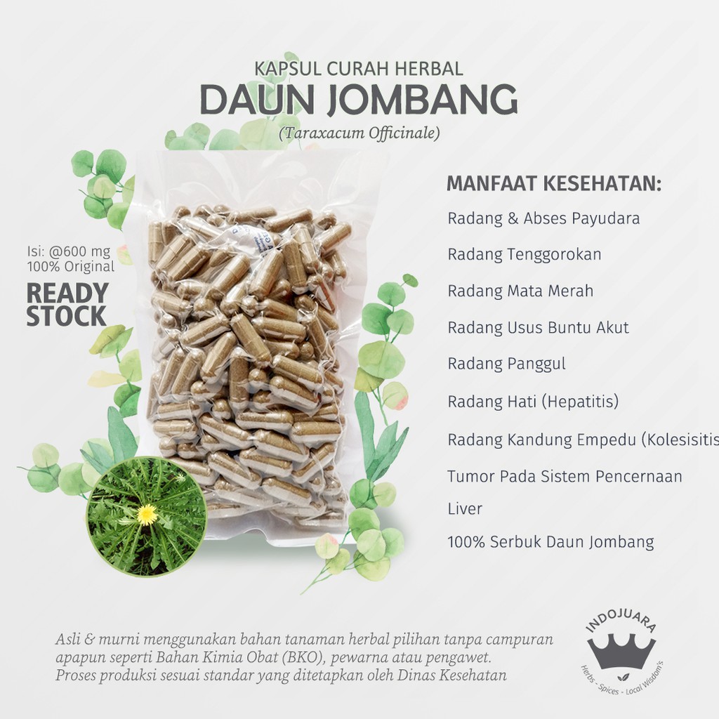 

DAUN JOMBANG 100 Kapsul Curah Herbal Rematik Peradangan Bisul Maag Leukimia Liver ASI Prostat 600mg