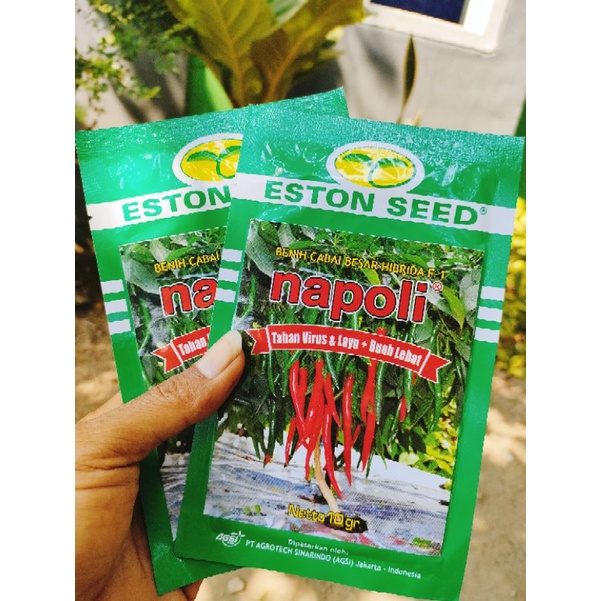 Cabe Besar Napoli F1 10gr Tahan Virus Original Pabrik Eston Seed