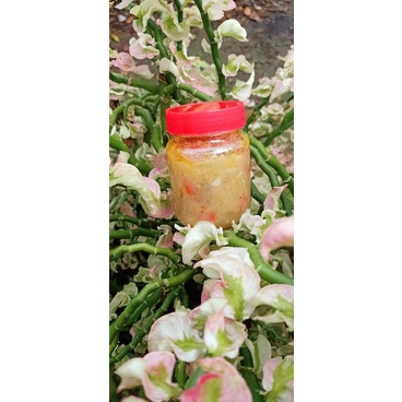 

Sambal Tempoyak Teri