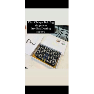 Dior oblique belt bag