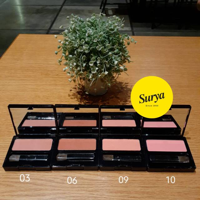 Make Over Perfect Shade Blush On Single