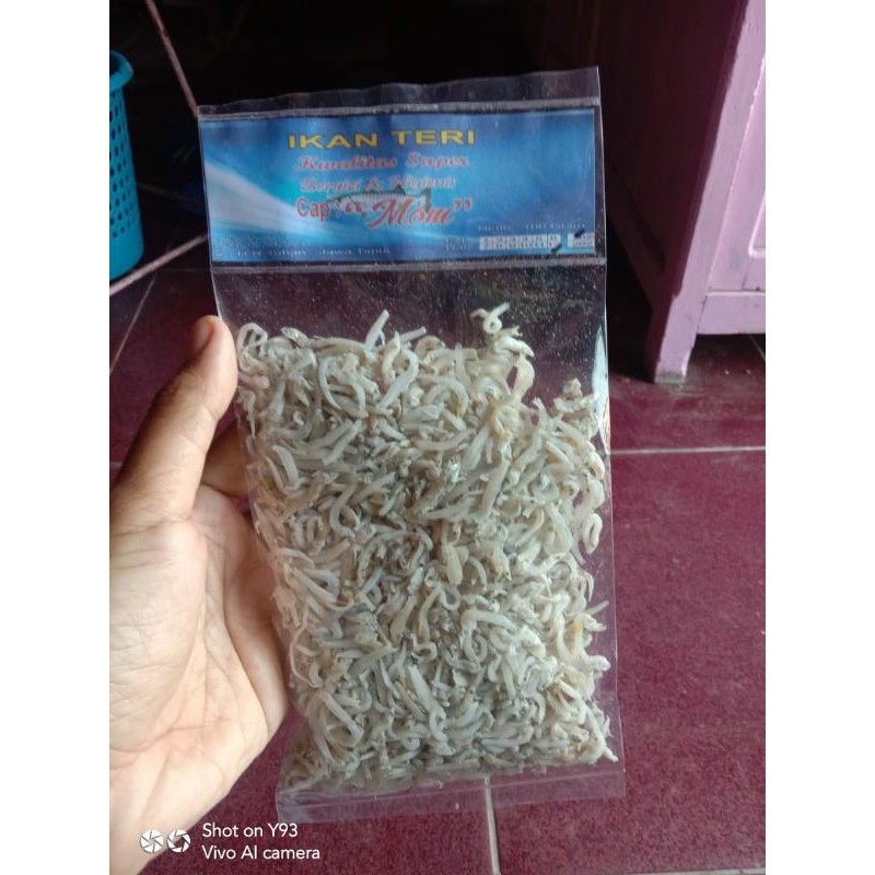 

ikan teri