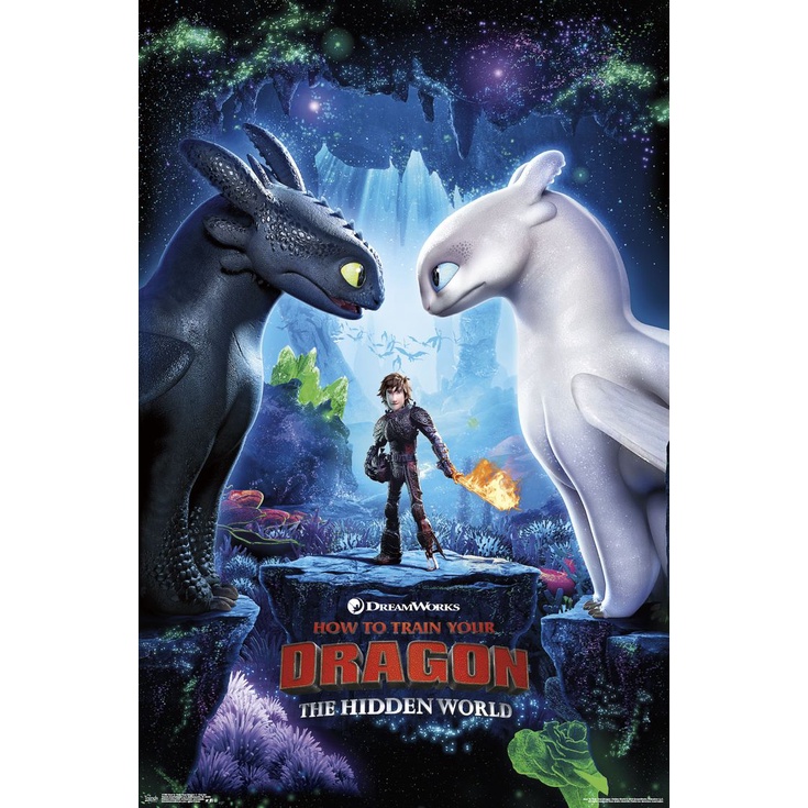 DVD Animasi Anak How To Train Your Dragon 3