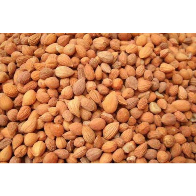 

50gr 郁李仁 Yu Li Ren Chinese Dwarf Cherry Seed Dwarf Flowering Cherry Seed Longstalk Peach Seed Of Chinese Dwarf Cherry Seed Of Bunge Cherry Seed Of Dwarf Flowering Cherry Seed Of Chinese Bushcherry Seed Of Down Semen Pruni Bush Cherry Seed Premium