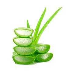 Gel untuk hand sanitizer bisa membuat sendiri dengan gel aloe vera 1 kg sudah ada izin edar resmi by Oke sabun suplayer 2