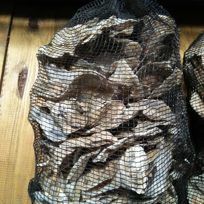 Oyster Shell Kulit Kerang Media Filter Kolam Koi 1kg