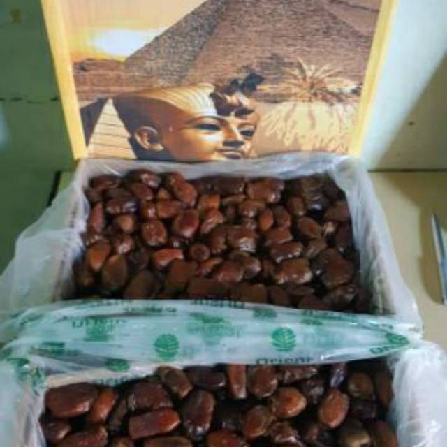 

Kurma Mesir Golden Valey isi +- 10kg 10 kg