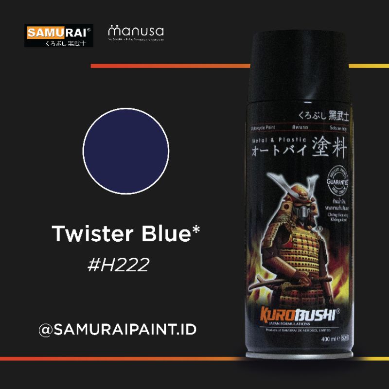 Samuraipaint Honda H222 Twister Blue